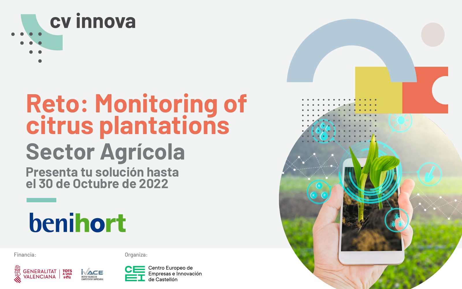 Reto: Monitoring of citrus plantations
